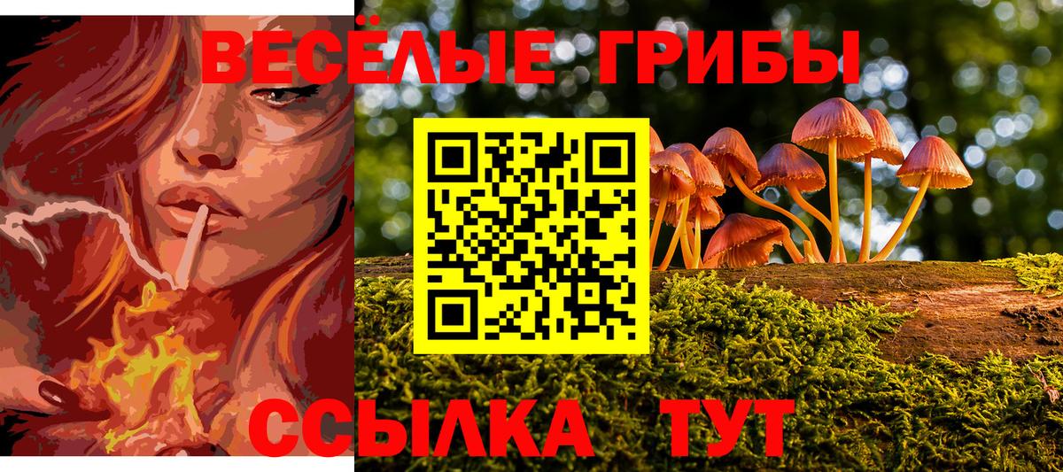 Галлюциногенные грибы мицелий Краснознаменск