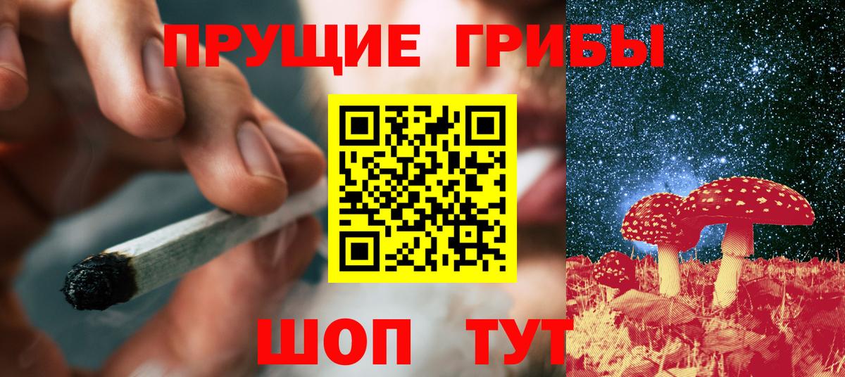 Краснознаменск  купить наркотик  Вход с VPN  Галлюциногенные грибы мухоморы 